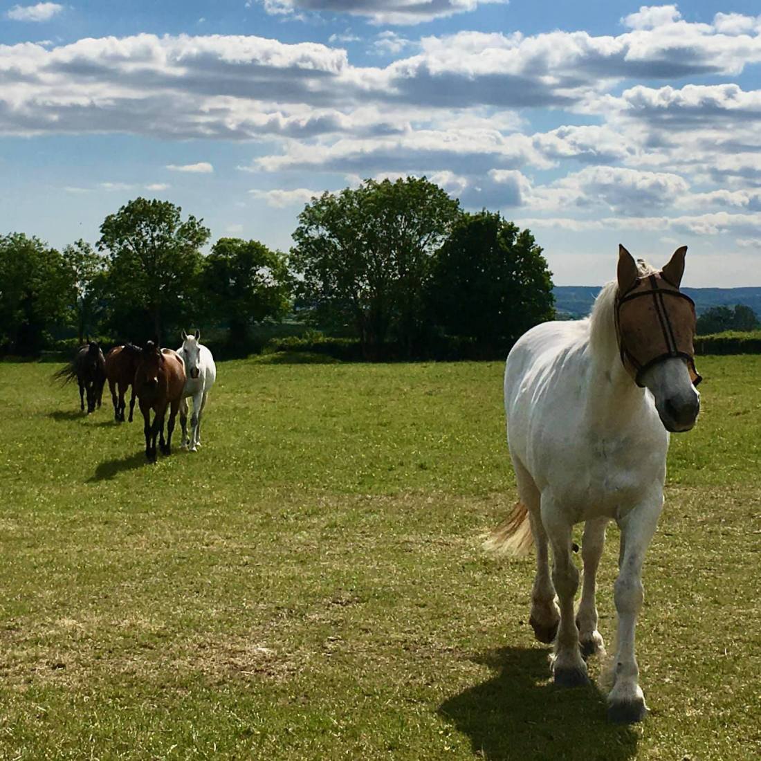 97931088_10156936957855059_1348062149699698688_o