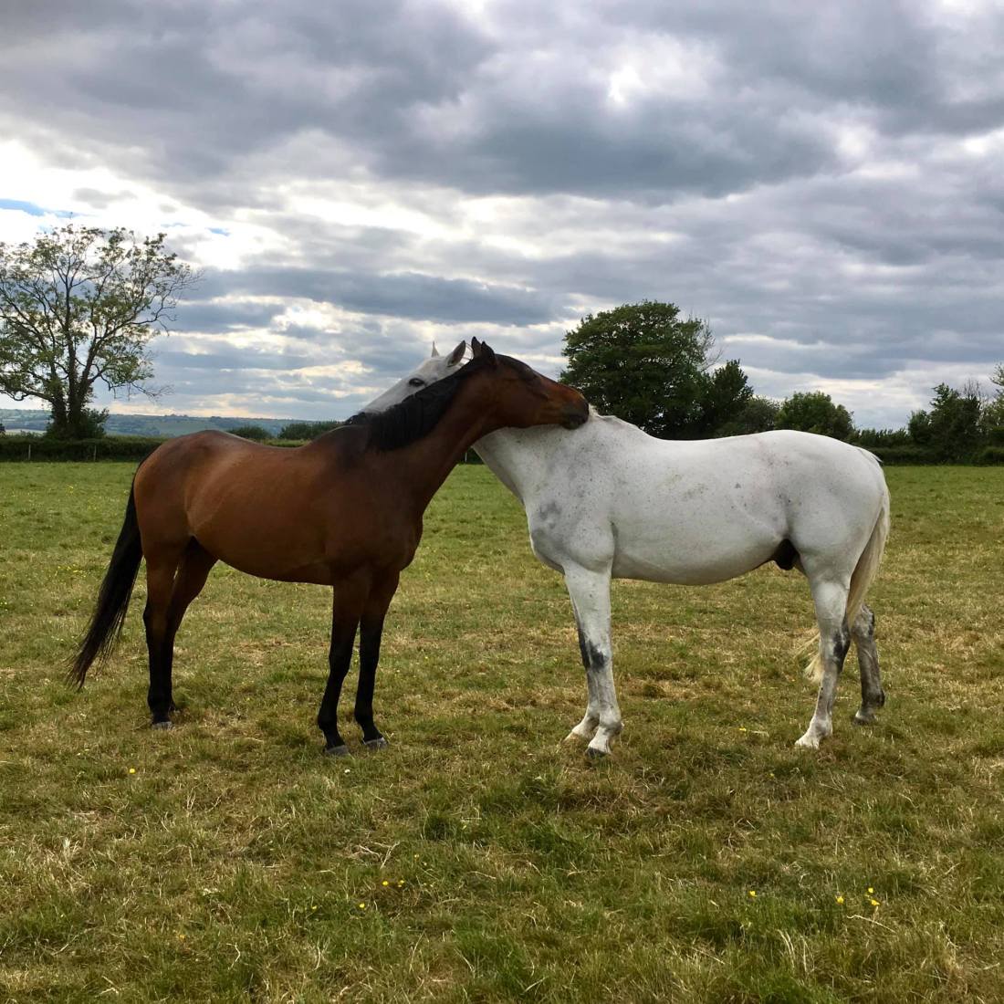 98124733_10156936957905059_1800838800339894272_o