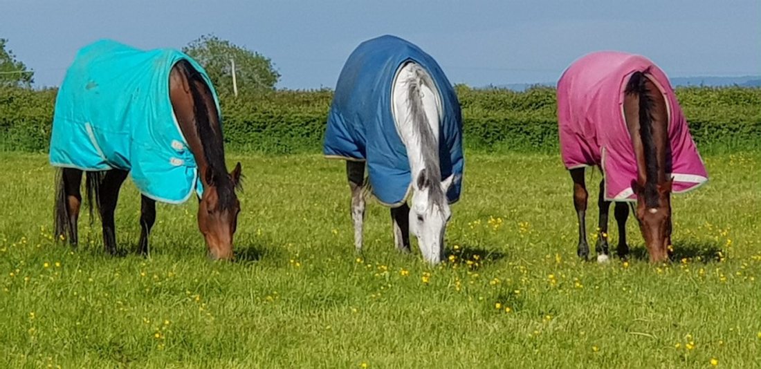 98343411_1263833093815385_4384994015297142784_o